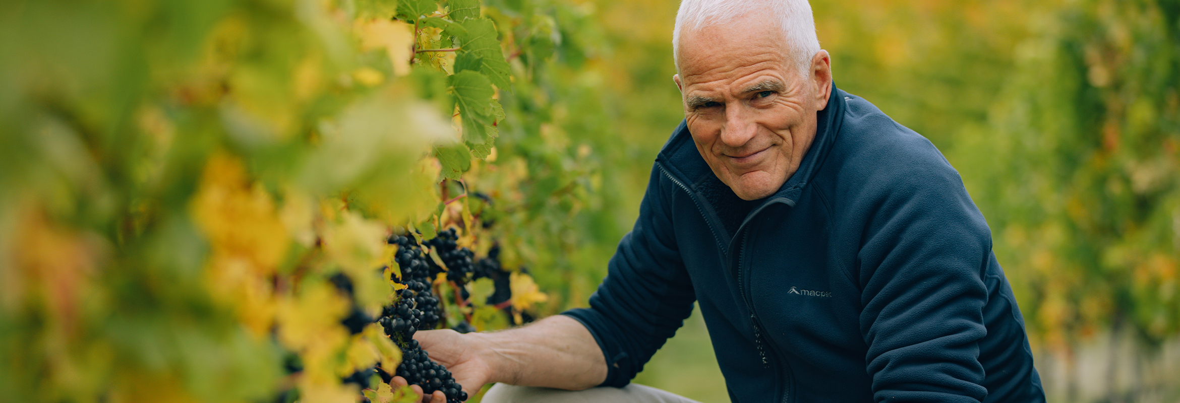 Tip voor de Bourgogne fan!