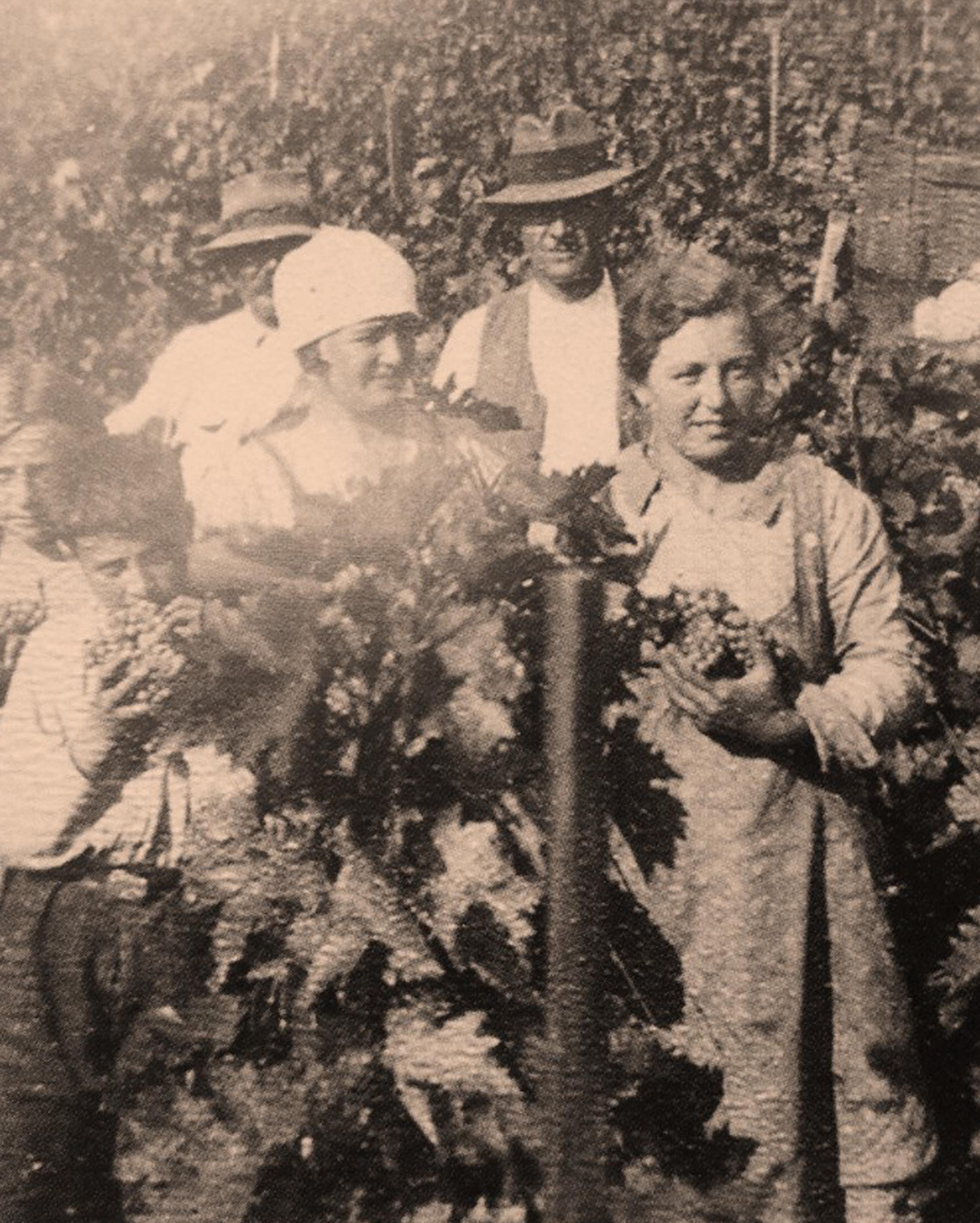 Ingrid geniet van haar Hasenhaide rosé, de wijngaard Auf den Henne en de oogst van 1955