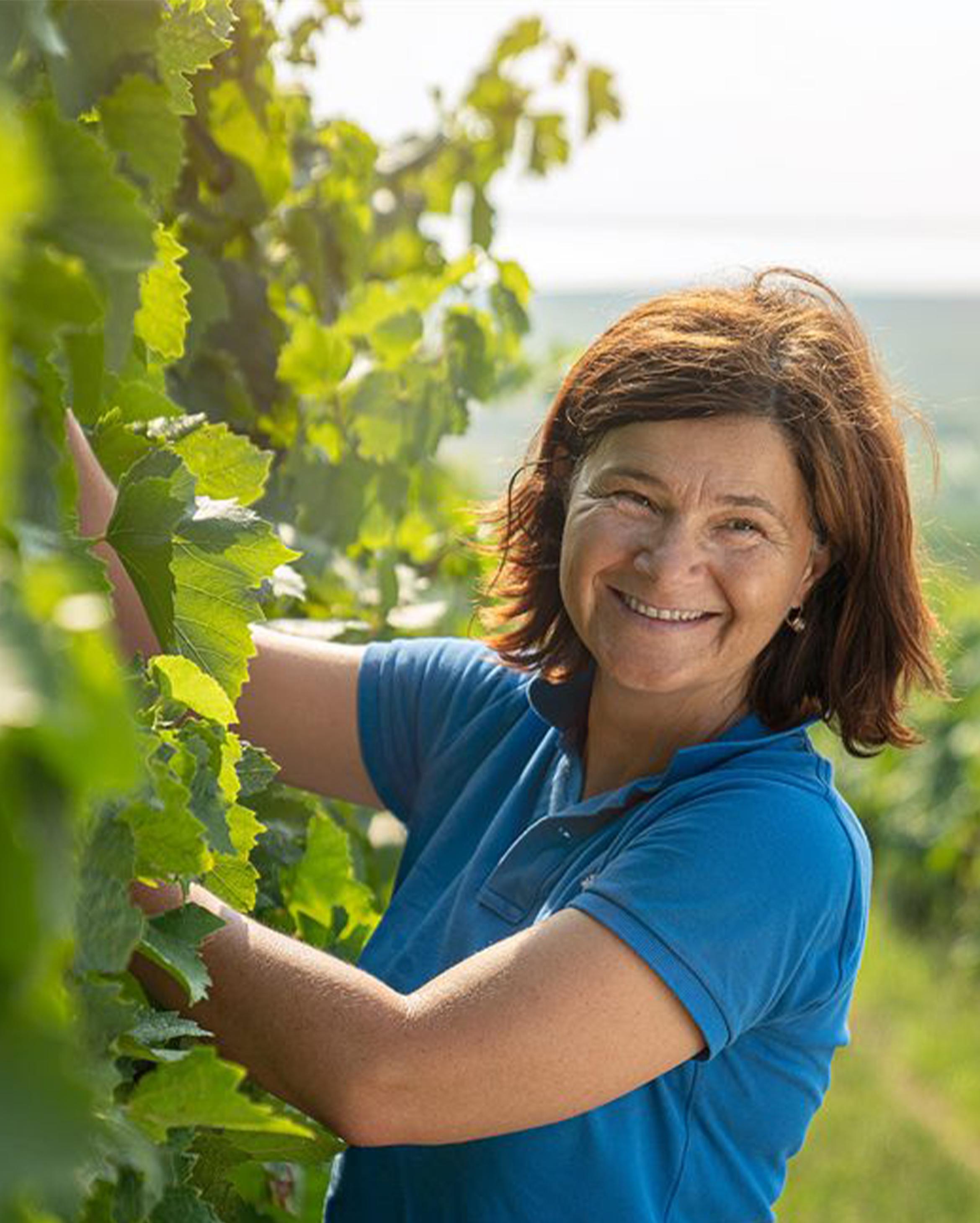 1. Vinée Vineuse krijgt een nieuwe vormgever én frisse cover | 2. Oostenrijk doet z’n intrede in het assortiment, met de geweldige wijnen van Birgit Braunstein | 3. Op avontuur in Zuid-Amerika bij Altocedro in Mendoza.