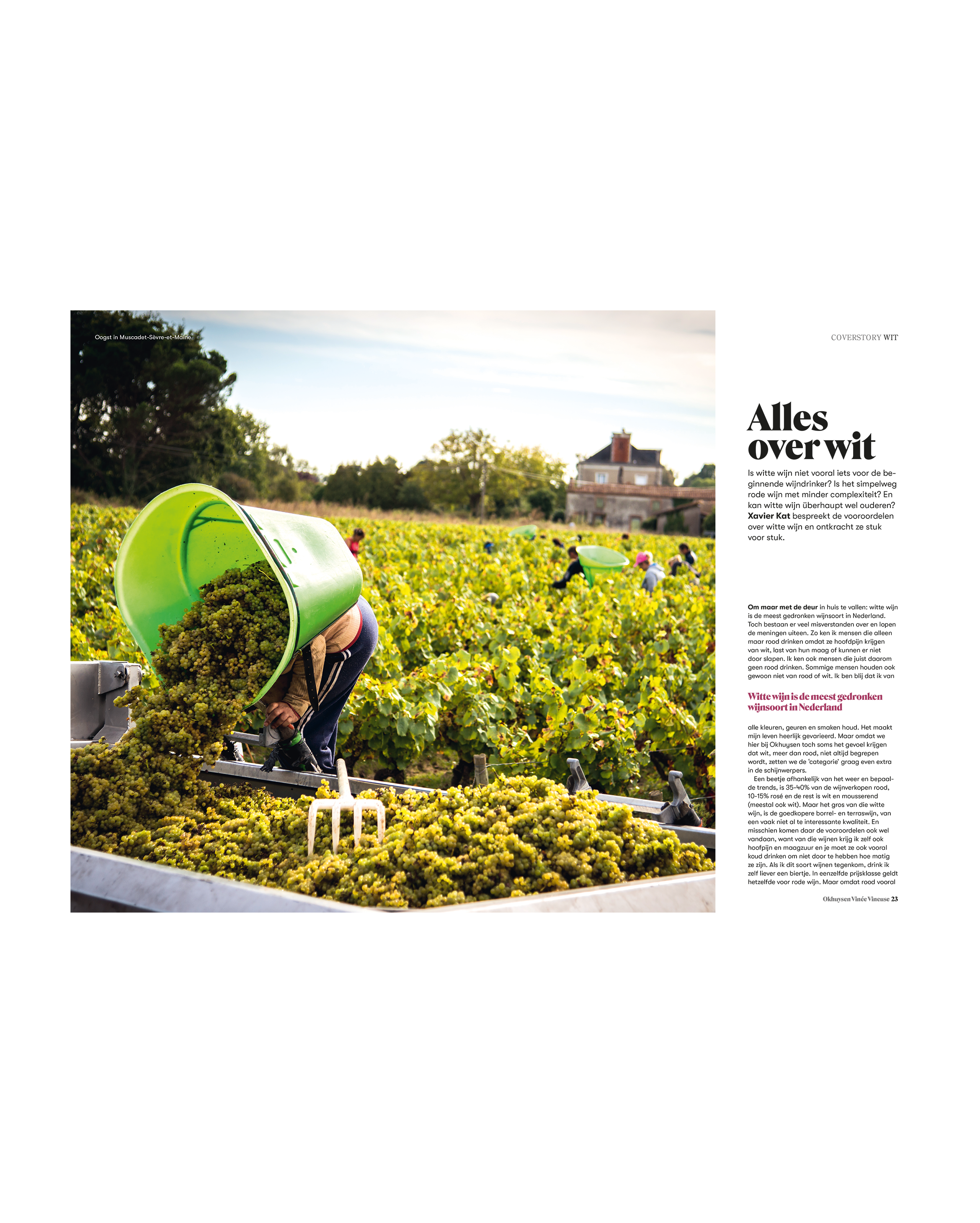 1. Marcel Hansen van restaurant Lady Papa raakt niet uitgepraat over wijn. | 2. Een heel nummer over witte wijn? | 3. De enige echte Sandra Bravo uit Rioja.