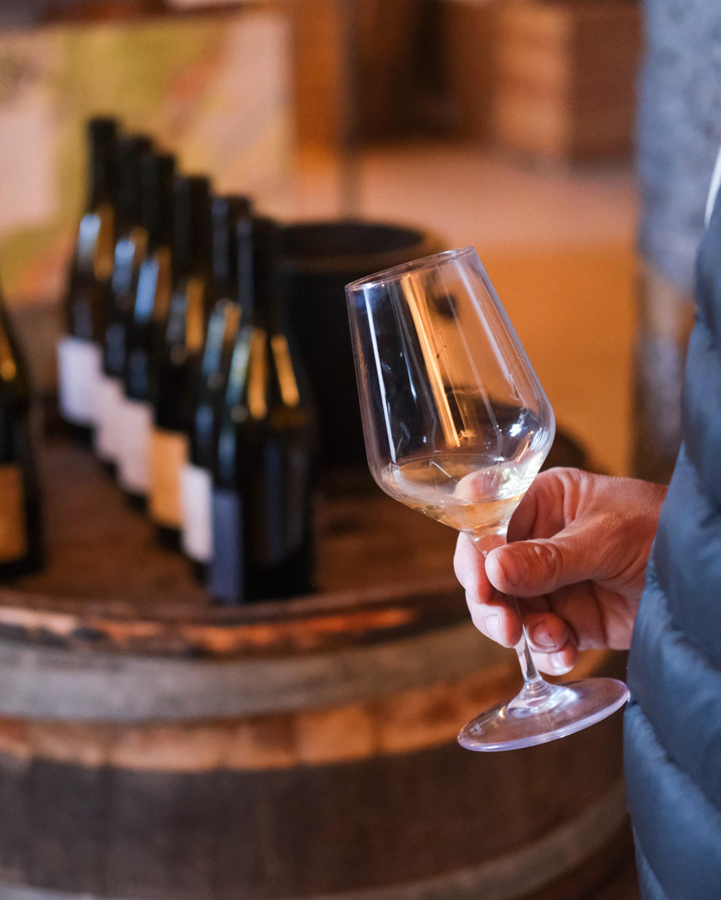 1. In het bergachtige gebied van de Savoie | 2. Oprichter van Mas de Daumas Gassac, Aimé Guibert (overleden in 2016) met zijn zoons Roman (L) en Samuel (R). |  3. Het bezoek op Château de Mérande was doorslaggevend: wat een geweldig domein!