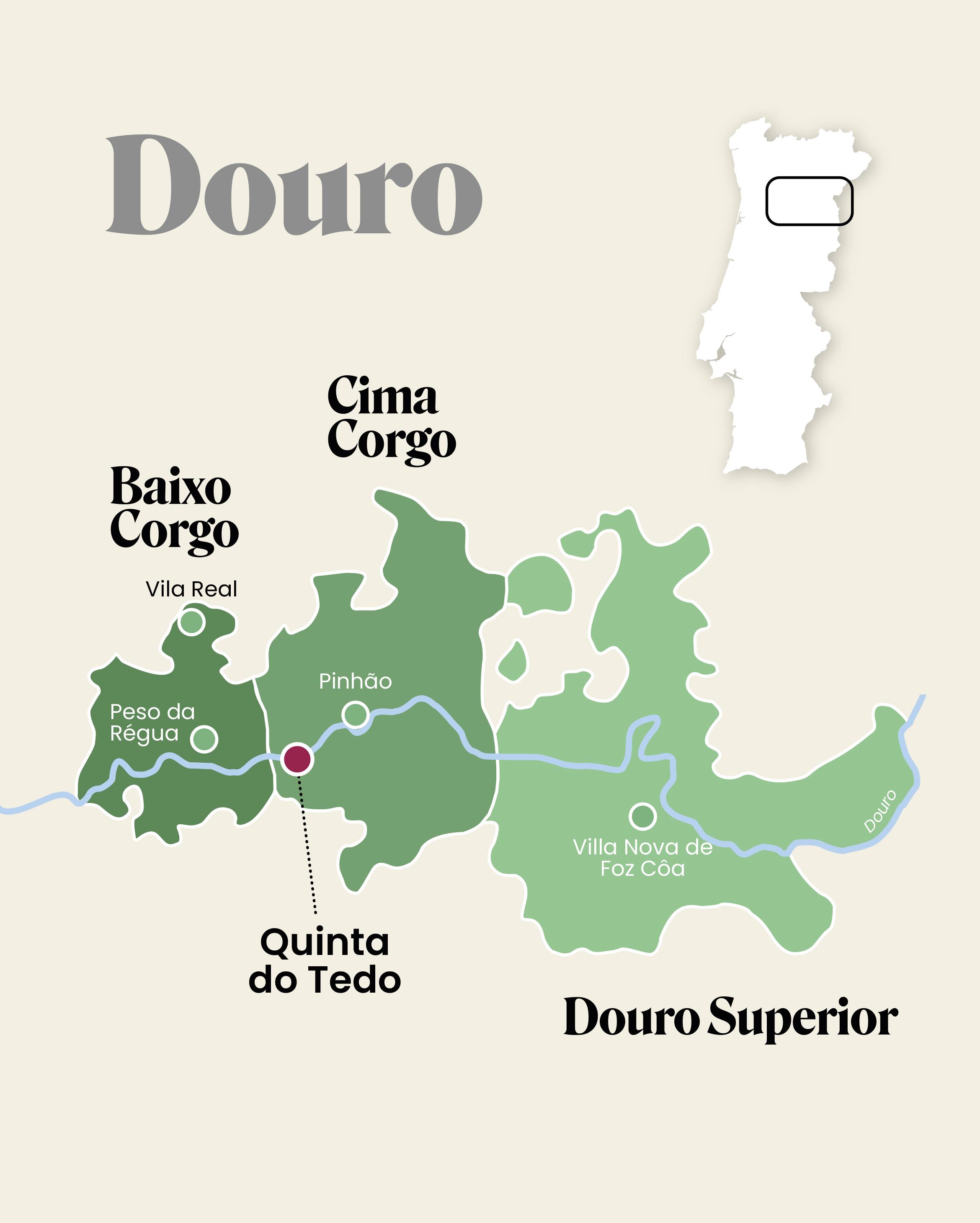 1. Wijngebied Douro | 2. Ingeblikte vis; dé specialiteit van Portugal en alleen al een lust voor het oog | 3. Inmiddels werkt de hele familie Bouchard mee op Quinta do Tedo
