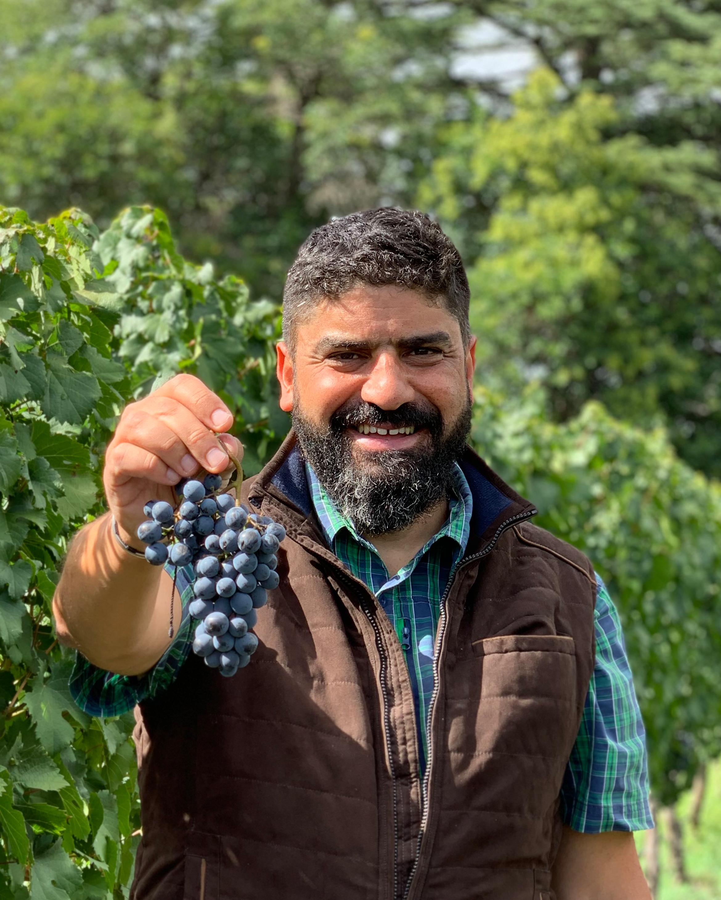 1. Vinée Vineuse krijgt een nieuwe vormgever én frisse cover | 2. Oostenrijk doet z’n intrede in het assortiment, met de geweldige wijnen van Birgit Braunstein | 3. Op avontuur in Zuid-Amerika bij Altocedro in Mendoza.