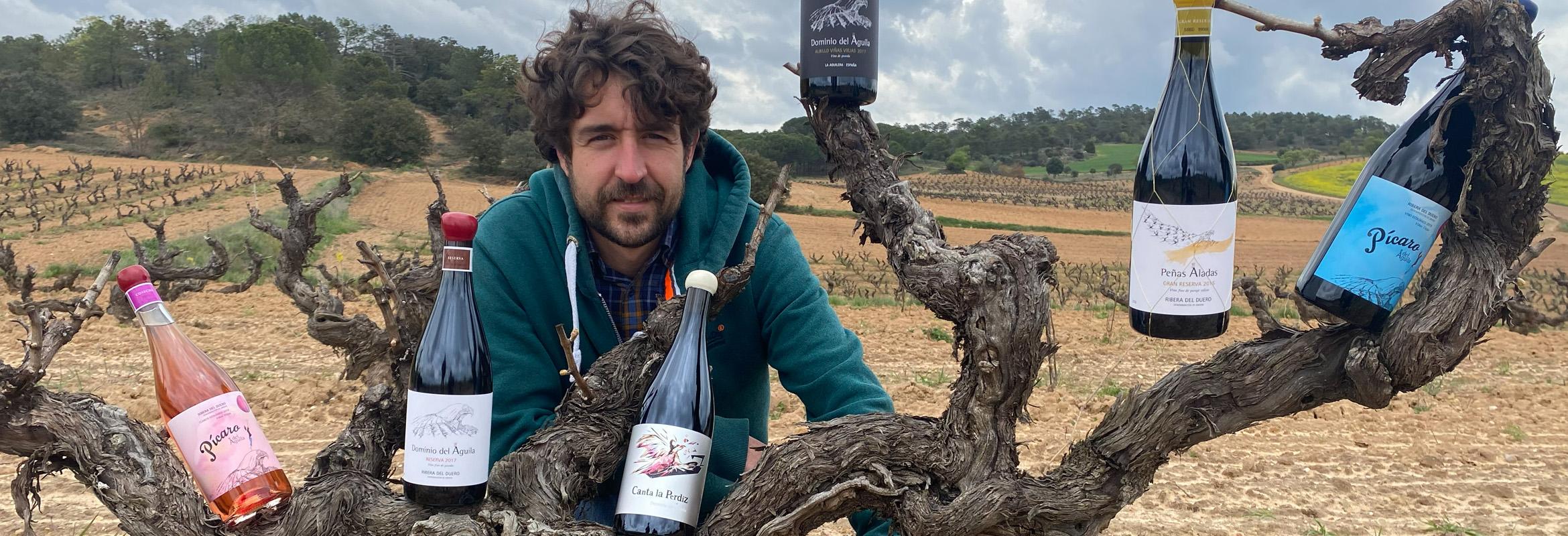 Dominio del Águila in Vinous