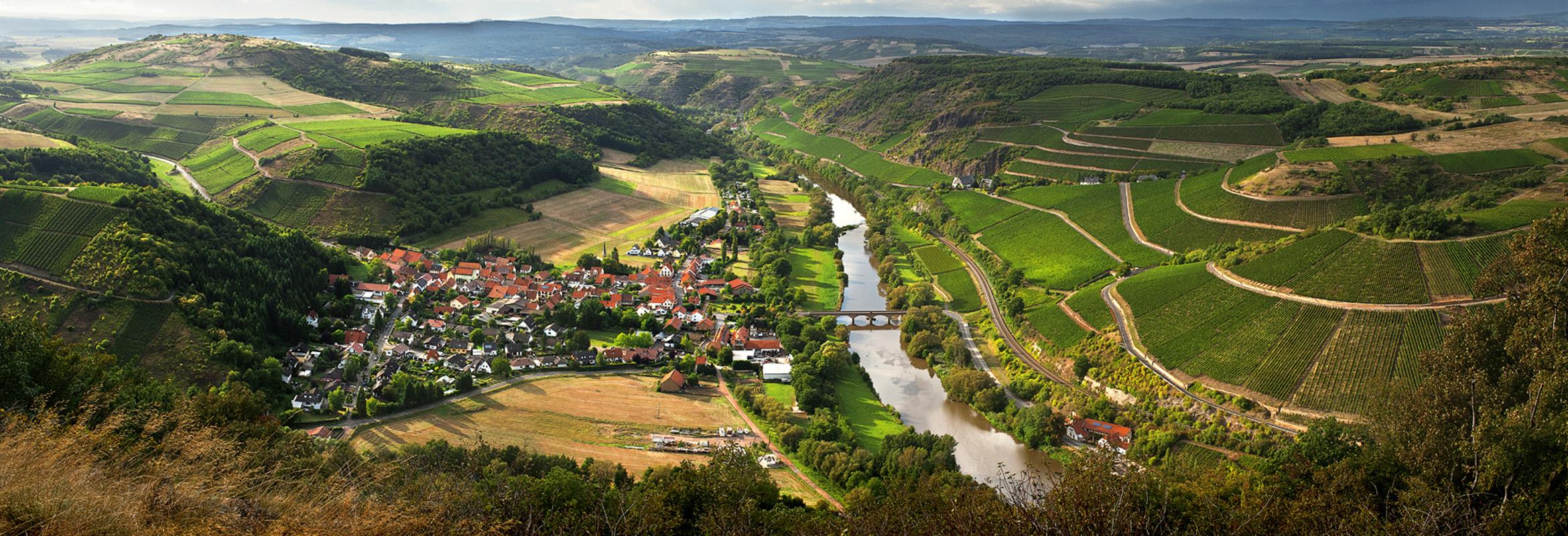 2025 Rheinhessen-Nahe and Mittelrhein: Opulence, Clarity and Sweet Marvels