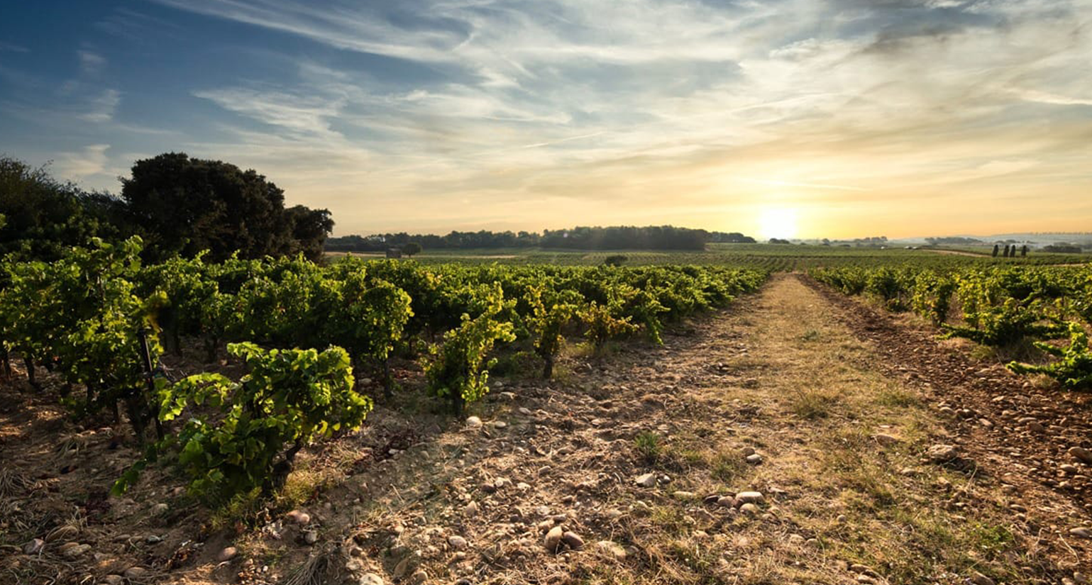 Proeverij: Piemonte, Priorat & Noord-Rhône